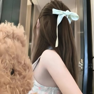 一个小型的专制共和国